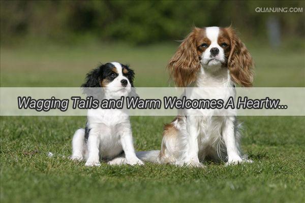 Wagging Tails and Warm Welcomes A Heartwarming Homecoming Story